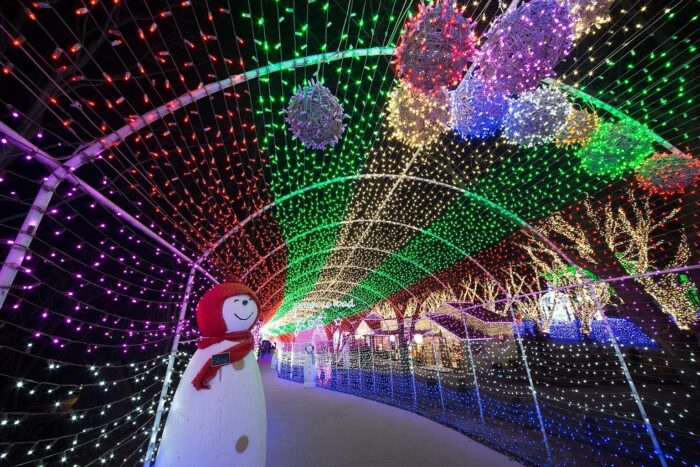 Oświetlenie Choinkowe 30 M 300 LED niebieskie - obrazek 4