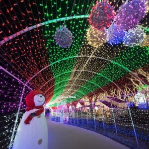 Oświetlenie Choinkowe 50 M 500 LED wielokolorowe - obrazek 3