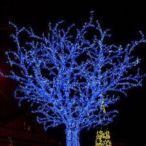 Oświetlenie Choinkowe 50 M 500 LED wielokolorowe - obrazek 5