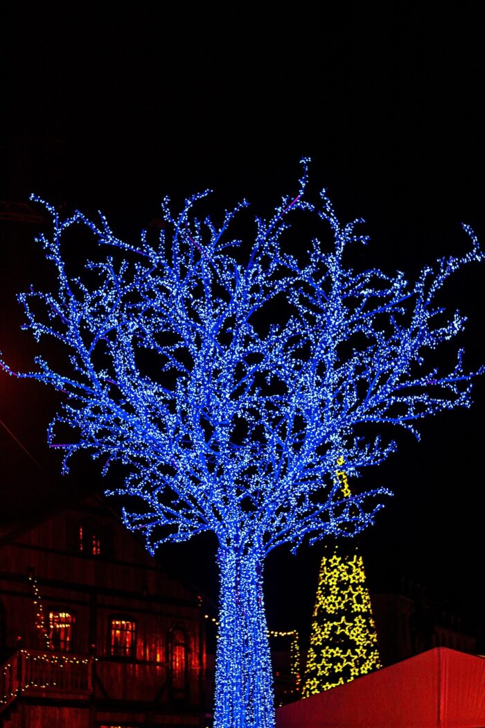 Oświetlenie Choinkowe 30 Merów 300 LED biały zimny - obrazek 6
