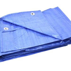 6c02eea9ff6d1114695c6ccedc92c286